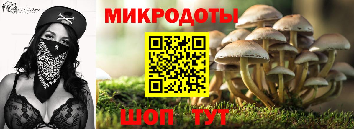 закладка  Вход с VPN  Шебекино  Галлюциногенные грибы мицелий 