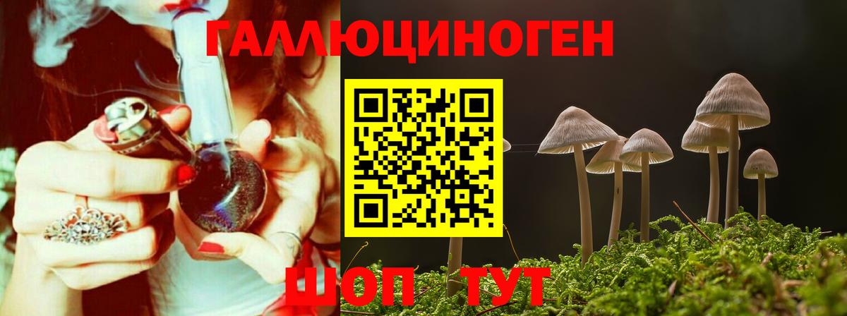 Псилоцибиновые грибы Cubensis Шебекино